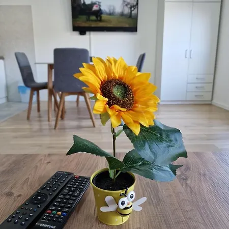 Square * Τούζλα